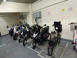 IMG_1799_R  