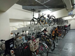 IMG_1805_R  
