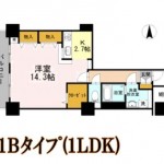1Bﾀｲﾌﾟ