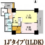 1J'タイプ（1LDK)