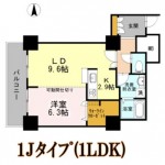 1Jﾀｲﾌﾟ（1LDK)