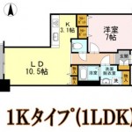 1Kタイプ（1LDK)