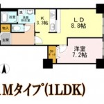1Mﾀｲﾌﾟ（1LDK)