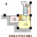 1Pﾀｲﾌﾟ（1LDK）