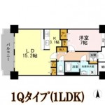 1Qﾀｲﾌﾟ（1LDK)