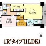 1R'ﾀｲﾌﾟ（1LDK）