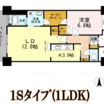 1Sﾀｲﾌﾟ（1LDK)