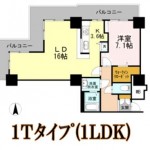 1Tﾀｲﾌﾟ（1LDK)