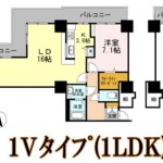 1Vタイプ（1LDK)