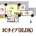 3Cﾀｲﾌﾟ（3LDK)