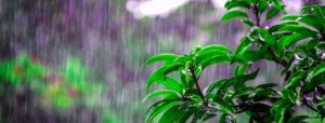 不動産知識｜梅雨、夏場のお部屋探し！閑散期のお得情報まとめ