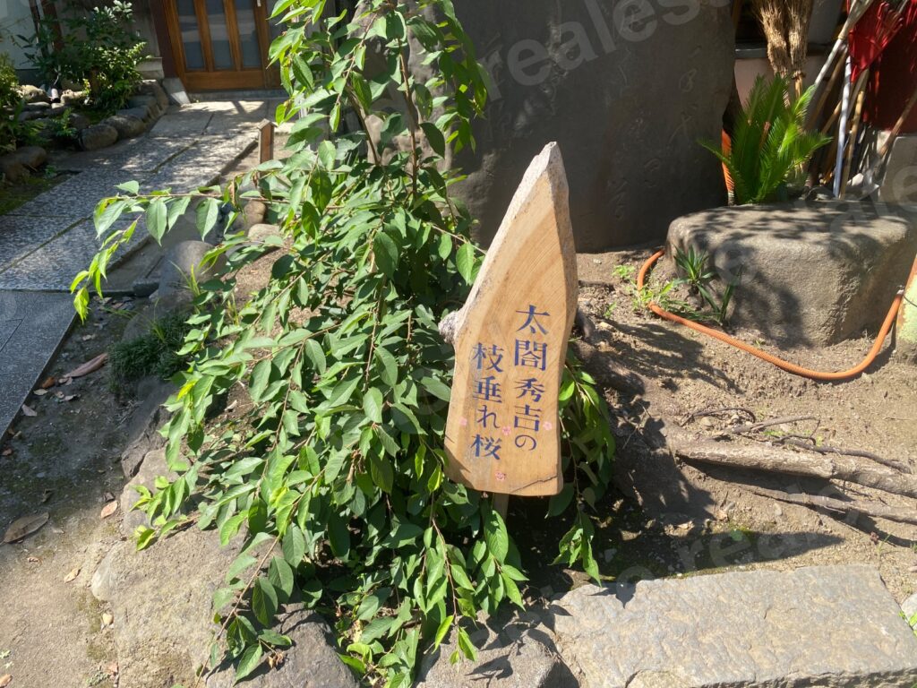 青物横丁の街並み