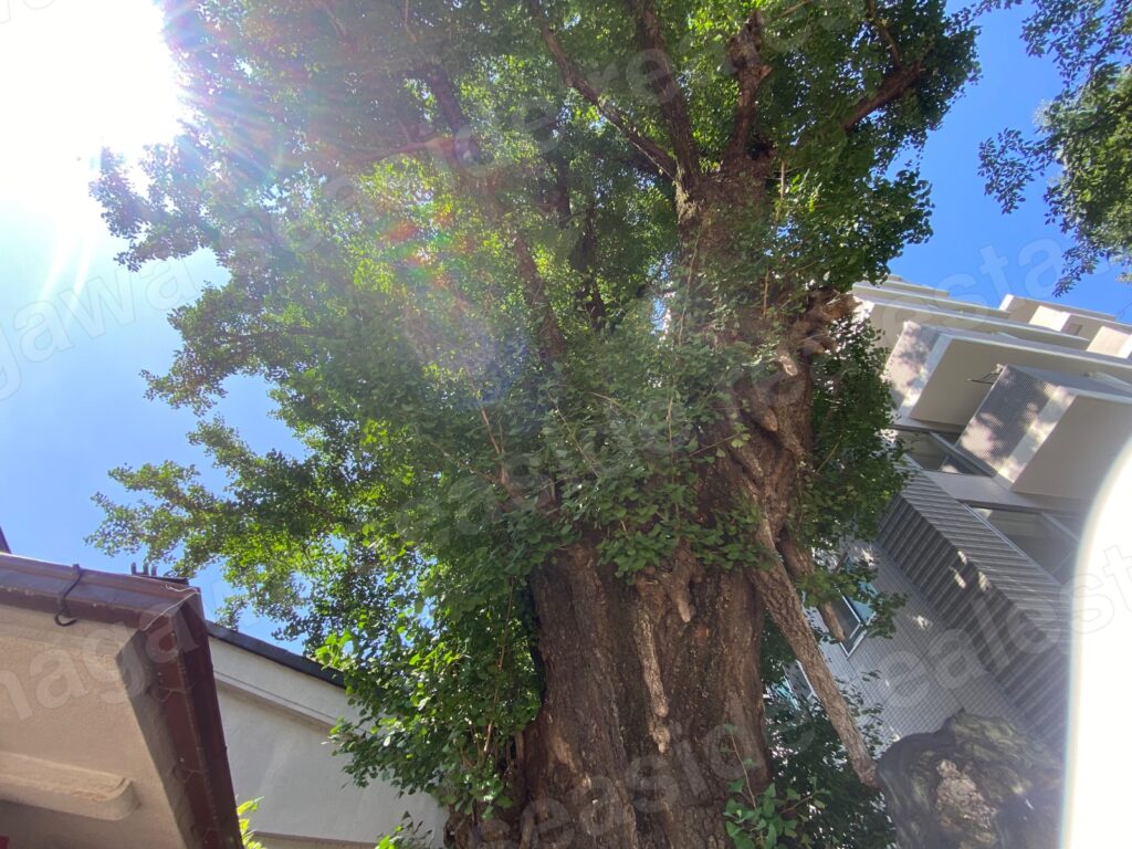 青物横丁の街並み