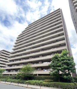 ザレジデンス東京イーストレジデンス1 写真1