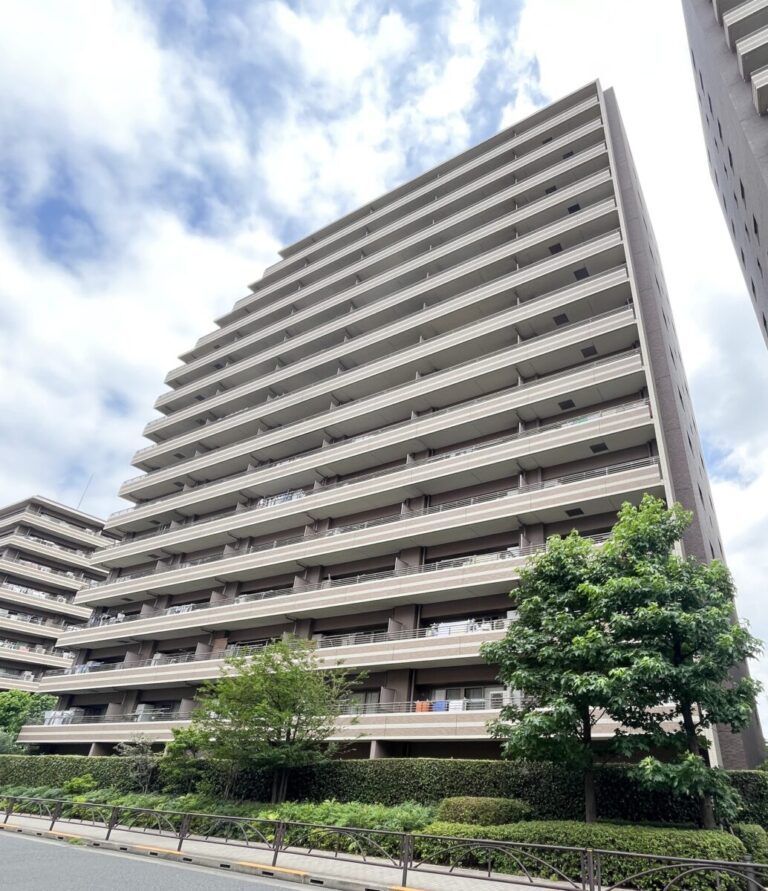 ザレジデンス東京イーストレジデンス1 写真1