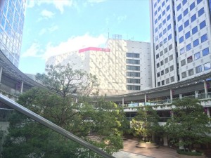 カスタリアタワー品川シーサイド 室内・共用部写真