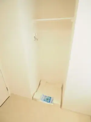 レジディア南品川 洗濯機置き場 315