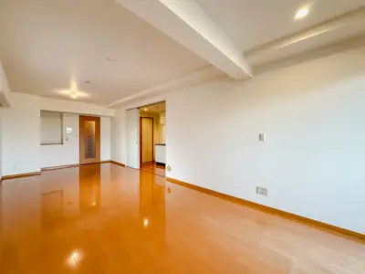 レジディア島津山 居室 285
