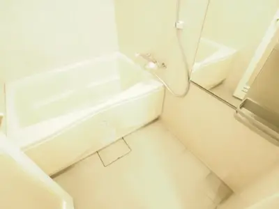 レジディア島津山 浴室・洗面・トイレ 520