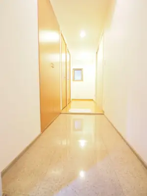 レジディア島津山 玄関・廊下 663