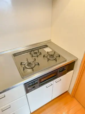 レジディア島津山 キッチン 381