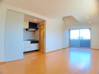 レジディア島津山 居室 336