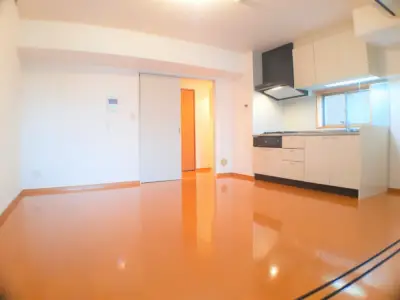 レジディア島津山 居室 272