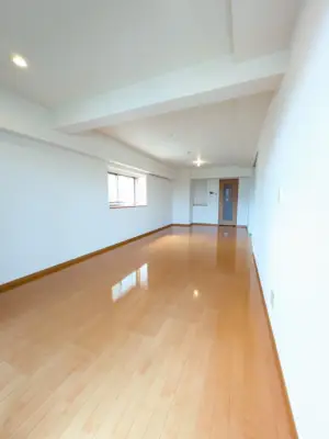 レジディア島津山 居室 339