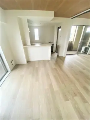 レジディア島津山 居室 294